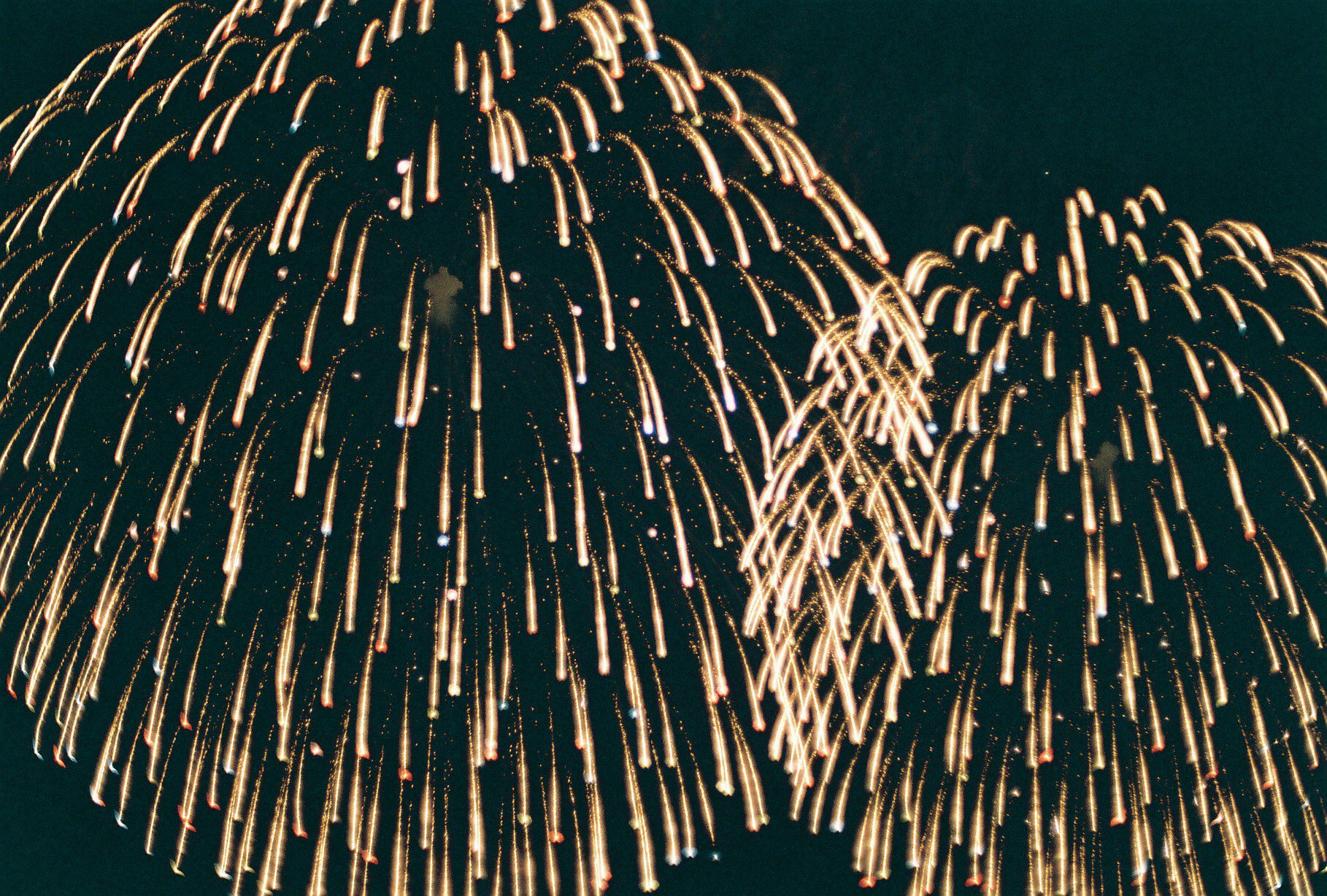 Marina 儚い花火ら Film 35mm Pentax Fujifilm100 Photograghy ふくつぶ 小名浜花火大会 T Co A5tzsehrwv Twitter