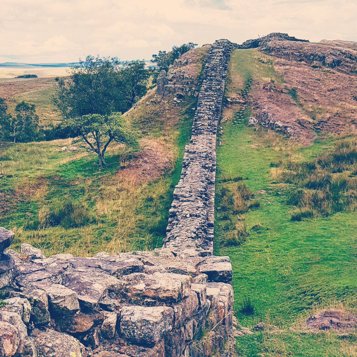 EndlessNE's tweet image. Busy few days walking Hadrian's wall. #Northumberland #hadrianswall #thegreatoutdoors #Romans