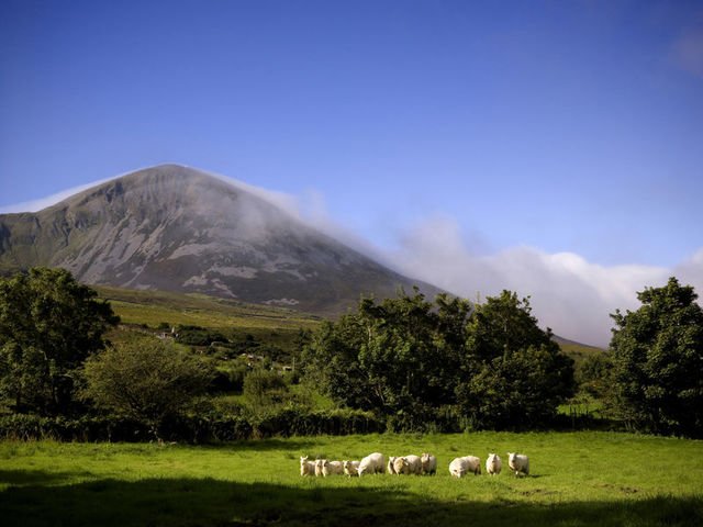 The majestic <a href="/Croagh_Patrick/">Croagh Patrick</a> where pilgrims come to climb every year #WildAtlanticWay #Ireland #Mayo