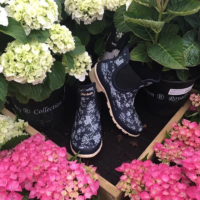 PerrywoodGarden's tweet photo. #Repost @perrywoodgifts with @get_repost
・・・
We are loving the rainy day here @perrywoodgardencentre
Brighten up any dull day with these #janeausten boots and #fallenfruits flamingo umbrella! #rainydays #coolerdays #bright #dullday #wellies #umbrell… https://t.co/YhE05N8kj3 https://t.co/hGGyfRpPQv