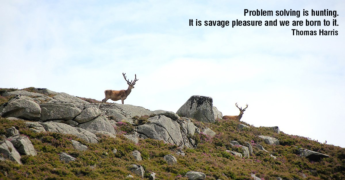 AtnAmerican's tweet photo. #Hunting #Quote #Hunter https://t.co/K9fvMWHey8