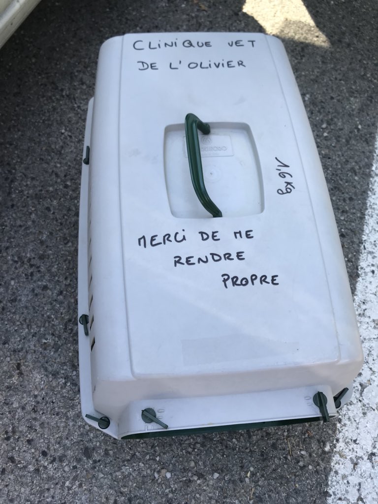 cm1ABAN's tweet photo. En pesant mon chat enfermé dans la caisse la balance indiquait 6,1kg. Combien pèse mon matou ?😽#mathsenvie https://t.co/WoWKd5MqV5