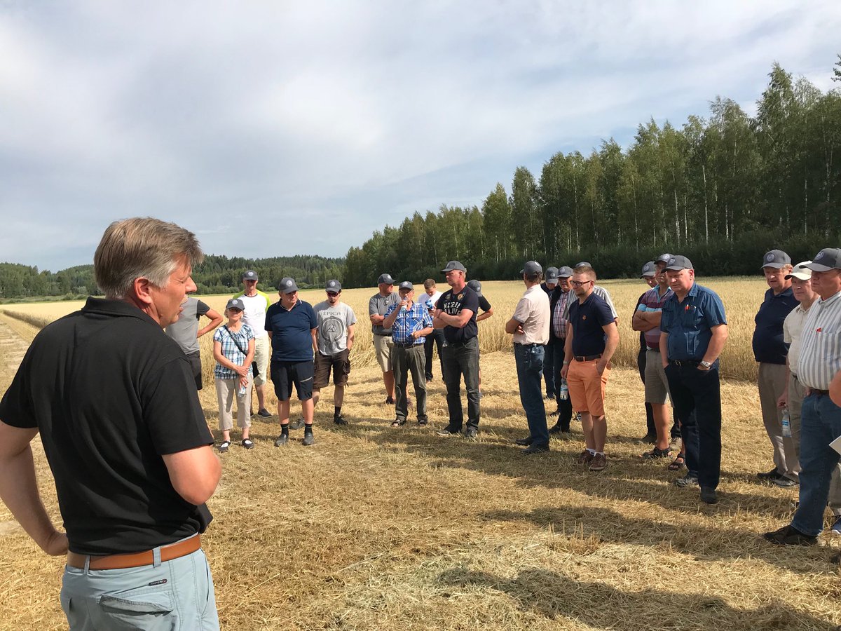 Viking Maltin sopimusviljelijät tutustuvat fosforikokeisiin Yaran Kotkaniemen tutkimuskentillä #mallasohra