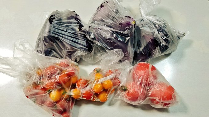 確かに今年は茄子をメーンに作っていくと決めてはいたがモリモリ実をつけてメキメキ育って「加減しろ莫迦!」状態に。もう毎日茄子のなんとか炒めか麻婆茄子…流石に一人で消費はむ〜りぃなんでご近所に配った。あと去年に続きトマト!てめぇも加減しろ!毎日飽きるんじゃ! 