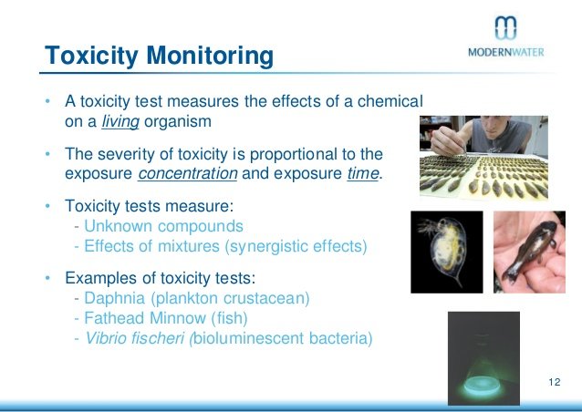 ebook seed testing principles