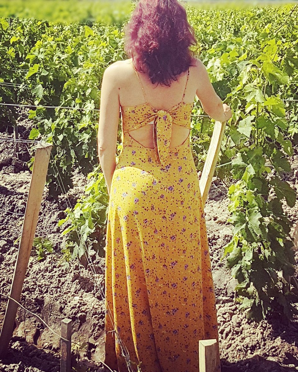 CarnetAurelie's tweet photo. 🌞 ROBE 🌞
Avez-vous vu mon lookbook été ? Non! Le lien dans ma bio 😘
Bonne journée.
#lookbook #look #outfit #tenue #robe #dress #jaune #yellow #été #summer #sun #soleil #vigne #vignoble #pictureoftheday #picture #photooftheday #photodujour #photos #instalook #instarobe https://t.co/HWT1HeXp3E