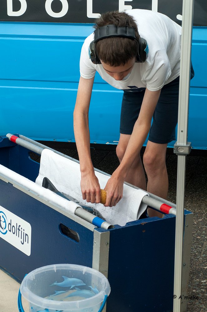 A_miekeTommel's tweet photo. #Walvisdag op Ecomare met het reizende walvisziekenhuis van SOS Dolfijn!
@SOSDolfijn @EcomareTexel https://t.co/nEyrX2TmSa