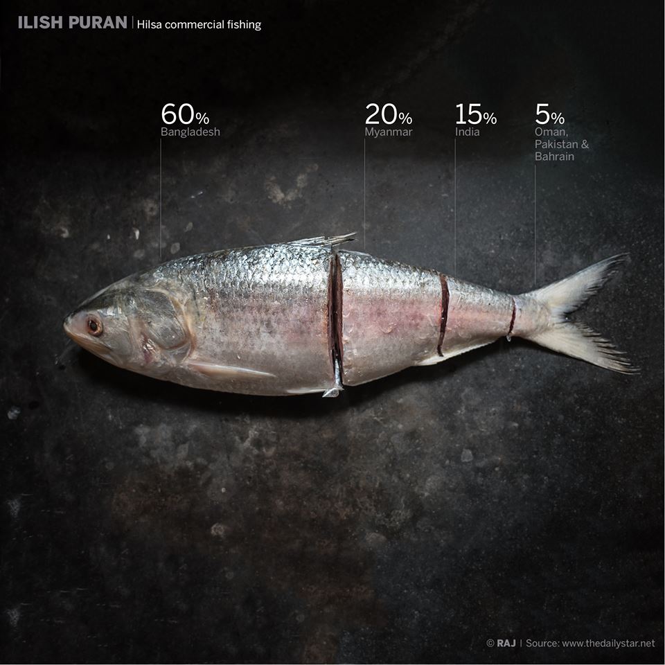 Escolar Fish In Tagalog The Best Wallpaper Images