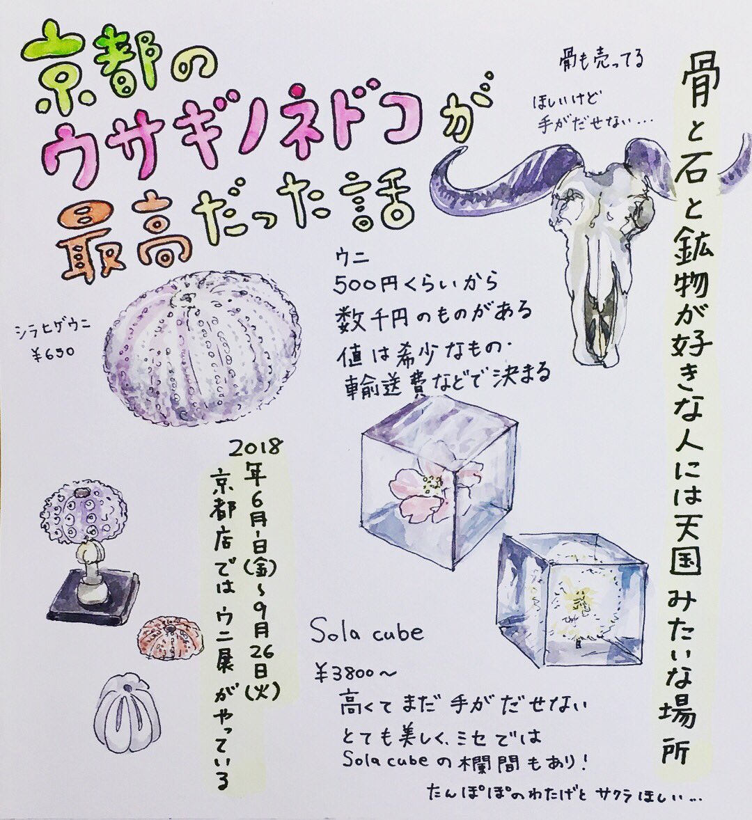 ミズタニ Na Twitterze 京都のウサギノネドコさんに行った話 好きすぎて絵でまとめた これからお盆休みの人も多いと思うので是非行ってほしい 京都観光 京都 京都カフェ ウサギノネドコ Illustration 水彩画 漫画 まんが マンガ Manga イラスト 一コマ ミズタニ Na Twitterze 京都のウサギノネドコさんに行った話 好きすぎて絵でまとめた これからお盆休みの人も多いと思うので是非行ってほしい 京都観光 京都 京都カフェ ウサギノネドコ Illustration 水彩画 漫画 まんが マンガ Manga イラスト 一コマ