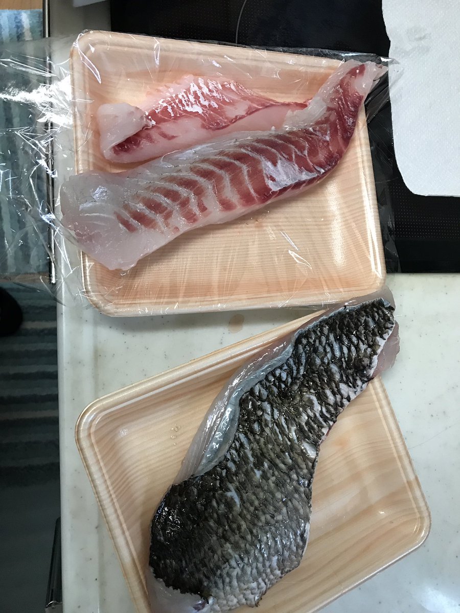 玉 釣りとロック No Twitter 2匹目のpop Xで釣った46 ヒレピンでコンディション良かったので試しに食べてみる 見た感じそれなりに旨いはず この子は虫 など付いてなかったけど 3匹目の48は表面に寄生虫が多かったね W 黒鯛通信 黒鯛 チヌ チヌ