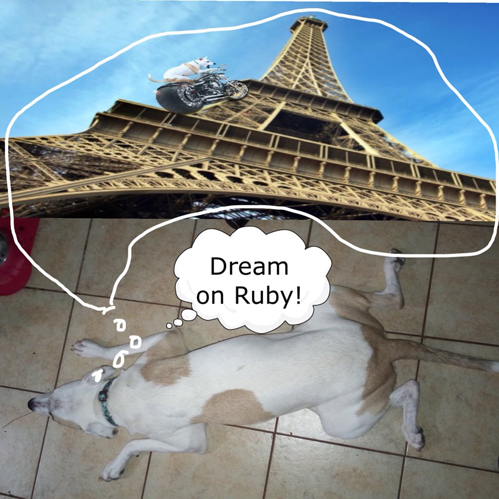 theruffriderz's tweet image. Your wish etc etc! #TgeRuffRiderz