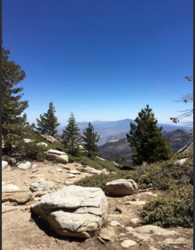 Ride to the top of the world &amp; discover a Narnia-like wilderness some 10,000ft above the Californian desert. Palm Springs Aerial Tramway takes you up the cliffface of Chino Canyon to Mt. San Jacinto State Park. Enjoy the forests, rivers, trails and jaw-dropping views. Stunning!
