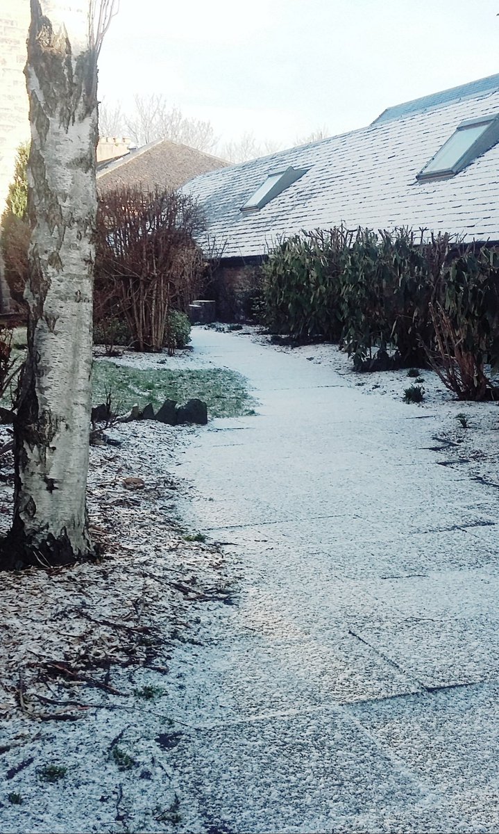 EAFriendsof's tweet photo. #ThrowbackThursday to this cold and frosty February morning in our beautiful @edinburghacad grounds
#ExcelAlways https://t.co/oOJPVETe1N
