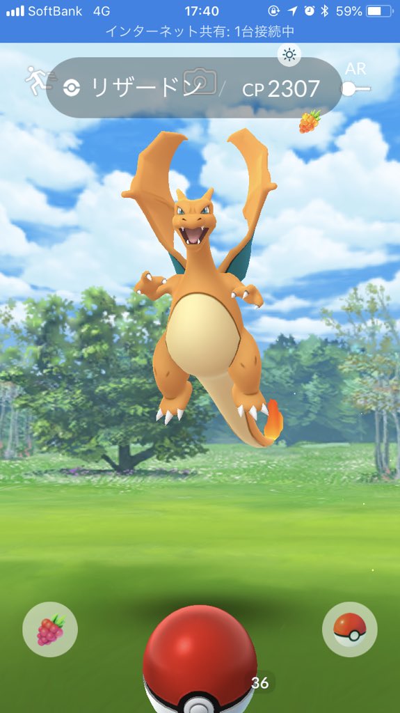 リザードン 野生 ポケモンの壁紙