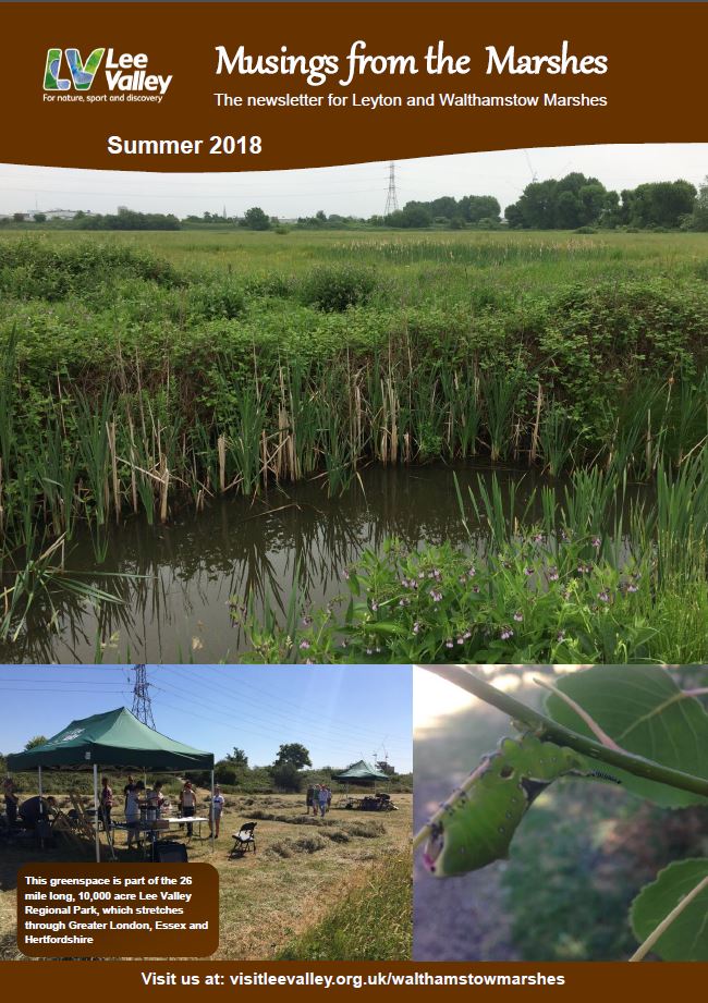 etlawlor1's tweet photo. Check it out! The latest edition of 'Musings from the Marshes' is available to read Follow the link https://t.co/q2BqKy6UJW scroll down and download the PDF. #communityartprojects #leevalleywildlife #leevalleyevents #walthamstowmarshes #acrossleevalley #stowbioblitz https://t.co/nUL1mEYHjh