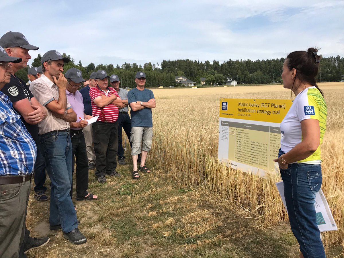 Mallasohran hiilijalanjäljen pienentämistä ja satojen kasvattamista pohditaan lannoituskoeruutujen äärellä #mallasohra