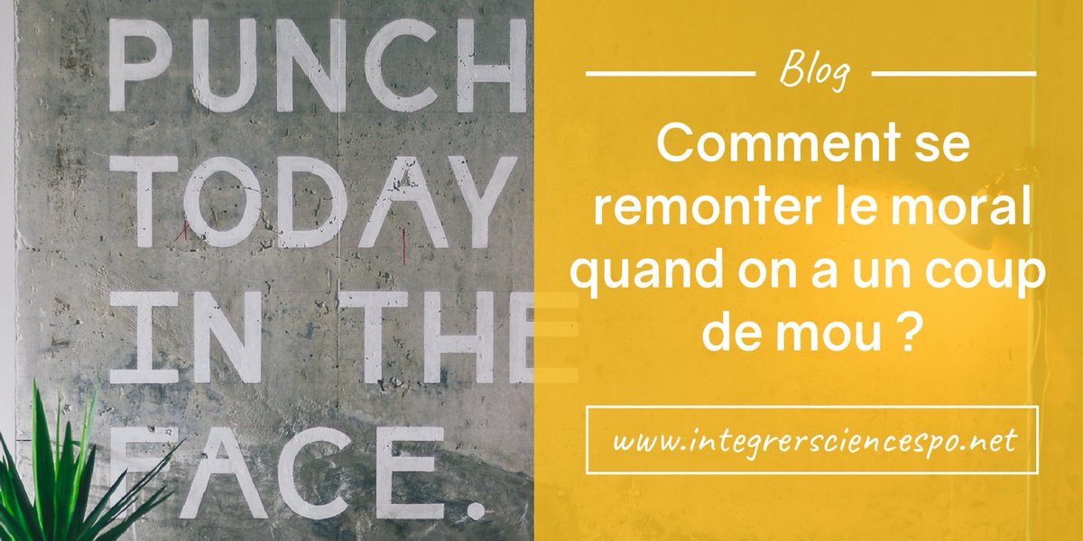 IntegrerSCPO's tweet image. Comment se motiver quand on a une baisse de moral à quelques mois du concours de #SciencesPo ?  integrersciencespo.net/motivation-pou… #IEP