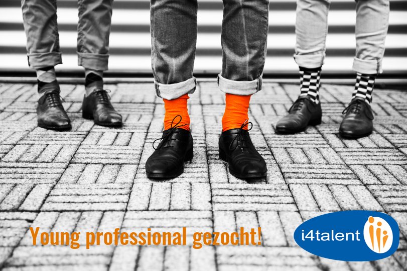i4talent's tweet photo. Vacature Young Professional (Young Talent Program)! 
Solliciteer hier om deze kans niet te missen: https://t.co/jWyb4iTMRb
#i4talent #vacature #YoungProfessional https://t.co/jYvBdR7RsP