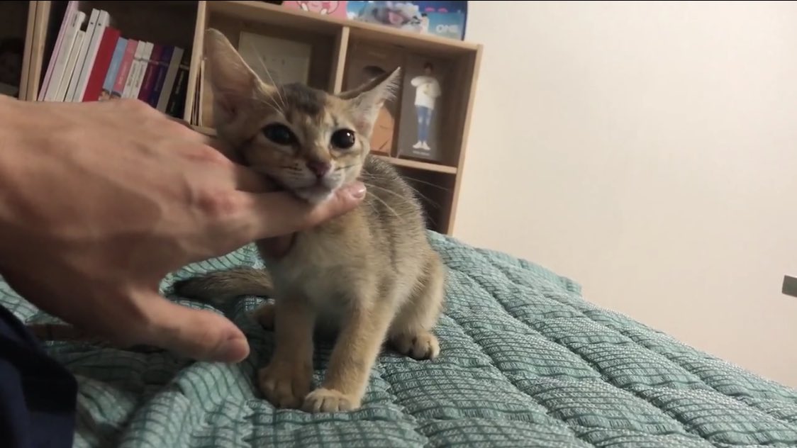 강다니엘 실행력 뭐냐고요 ㅋㅋㅋㅋㅋㅋㅋㅋㅋㅋㅋㅋㅋㅋㅋ | 인스티즈