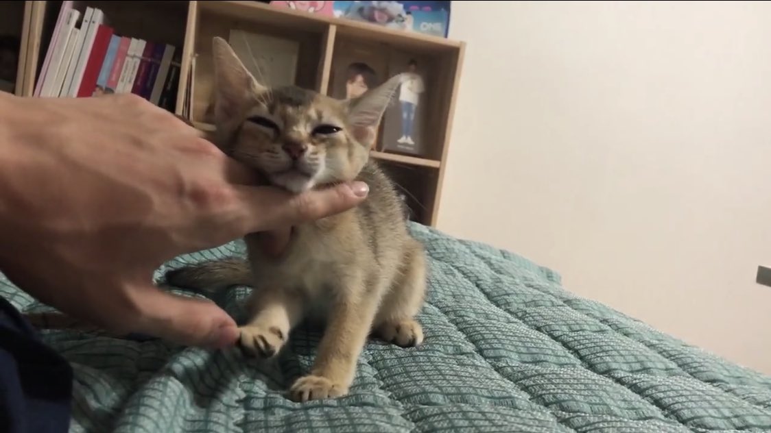 강다니엘 실행력 뭐냐고요 ㅋㅋㅋㅋㅋㅋㅋㅋㅋㅋㅋㅋㅋㅋㅋ | 인스티즈