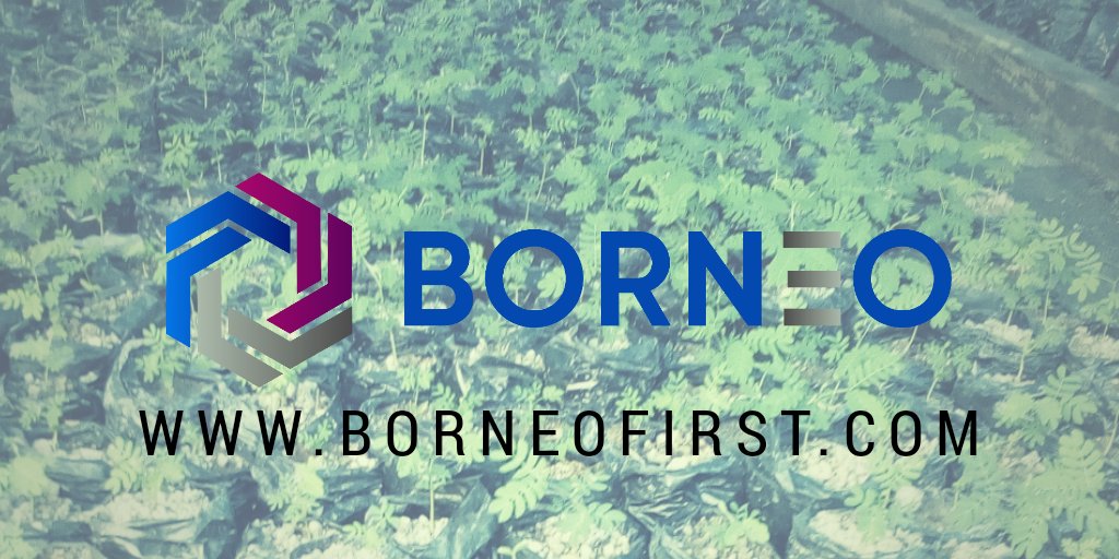 Borneo_ICO's tweet photo. Coming soon in our Whitepaper: World-class Cloud Mining backed by independent Solar PV &amp; Coal-fired power plants. Also other blockchain  based platforms such as Borneo Eco-tour, etc.

#비트코인 #仮想通貨 #ico #cryptocurrency #tokensale #bitcoin #Blockchain #DeadlineDay https://t.co/HM9RGpcN5h