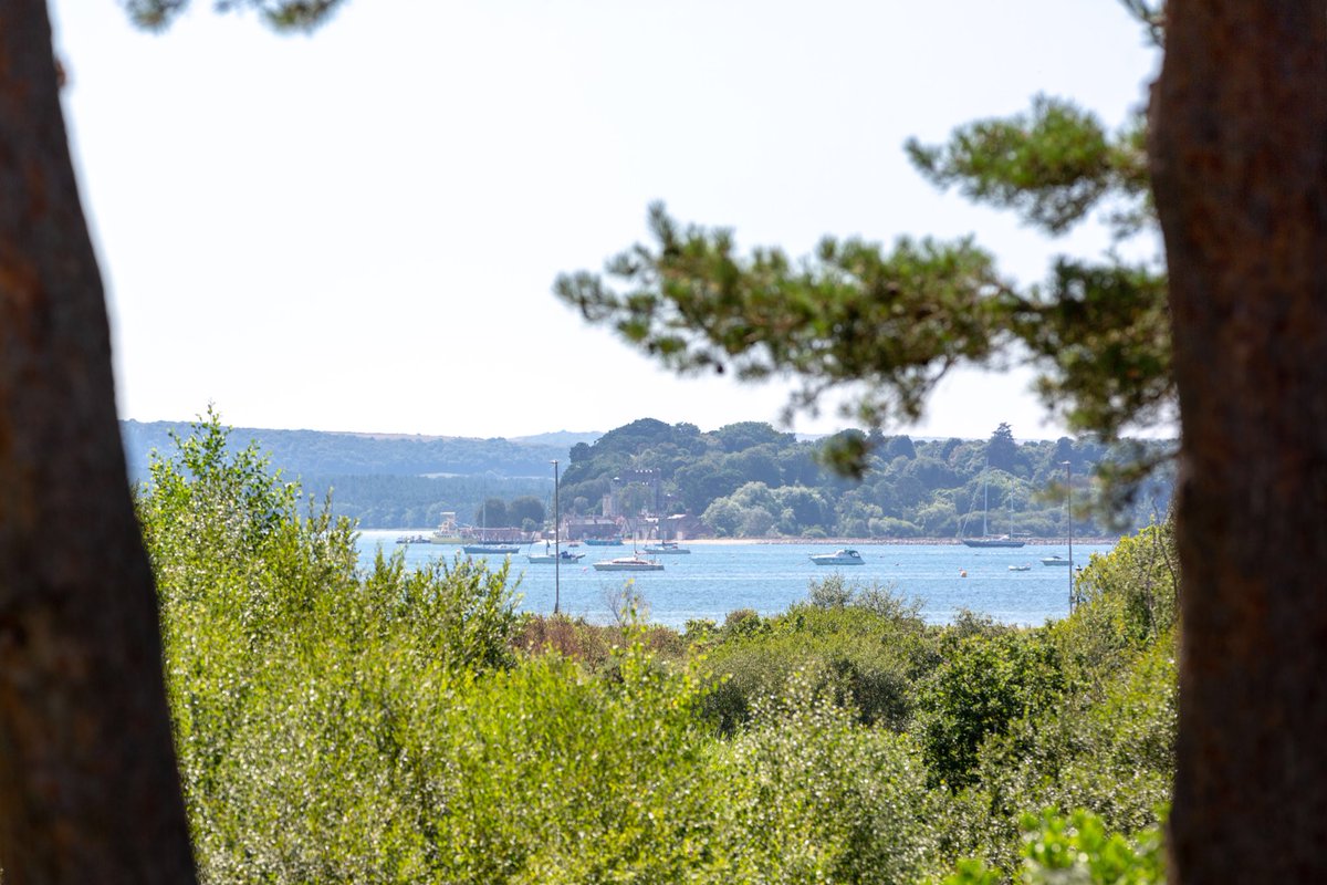 Excellare's tweet image. And a beautiful sea view