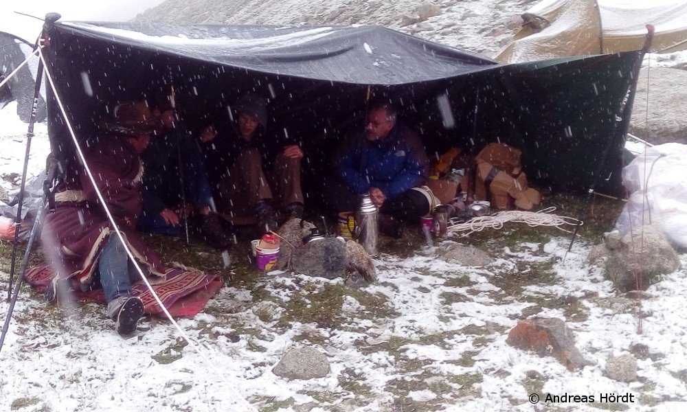 TransTiP tweet media