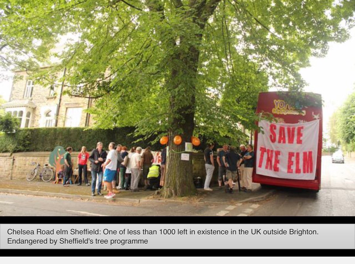 TiCLme's tweet photo. โSupposing a tree fell down, Pooh, when we were underneath it?'
'Supposing it didn't,' said Pooh after careful thought.โ
โ @A_AMilne
#WinnieThePooh on #BookLoversDay
For #SaveSheffTrees and #TreeDefenders everywhere @Team4Nature300 https://t.co/hLXHjMBhGs