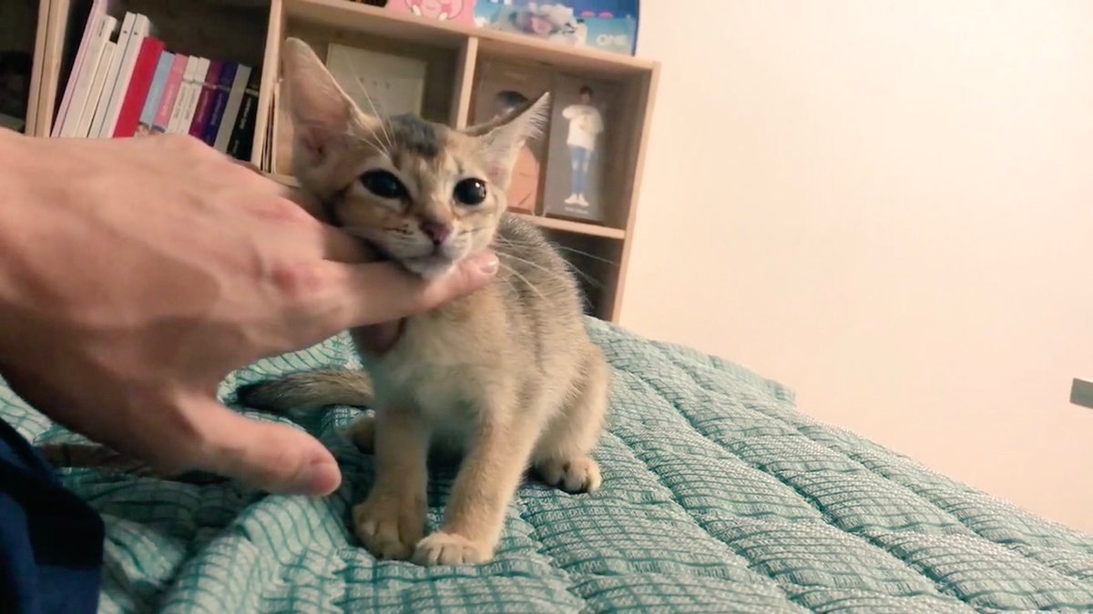 Funfact; Kang Ori has the same birthday as Hwang Minhyun ♡