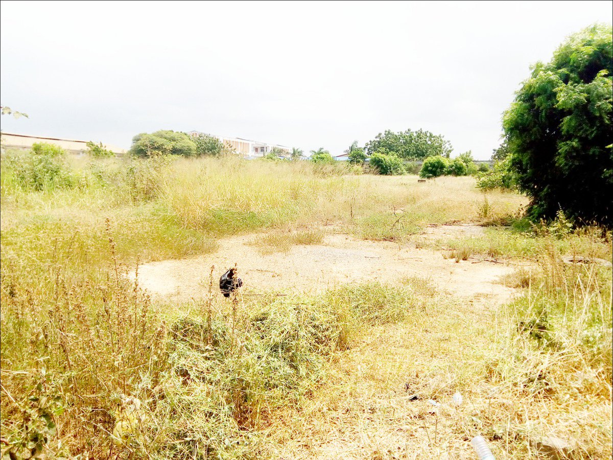 SleepWellingh's tweet image. A well placed piece of industrial land very close to the Tema roundabout is readily available for sale. The size of the land is 2 acres and it&apos;s bare with zero delolishing costs. It will be excellent for a variety of commercial purposes including warehouses. Call us on 0505359301