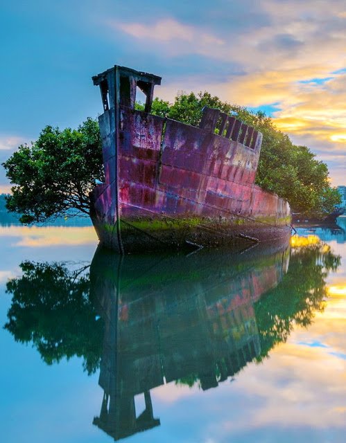 Homebush Bay, #Australia.