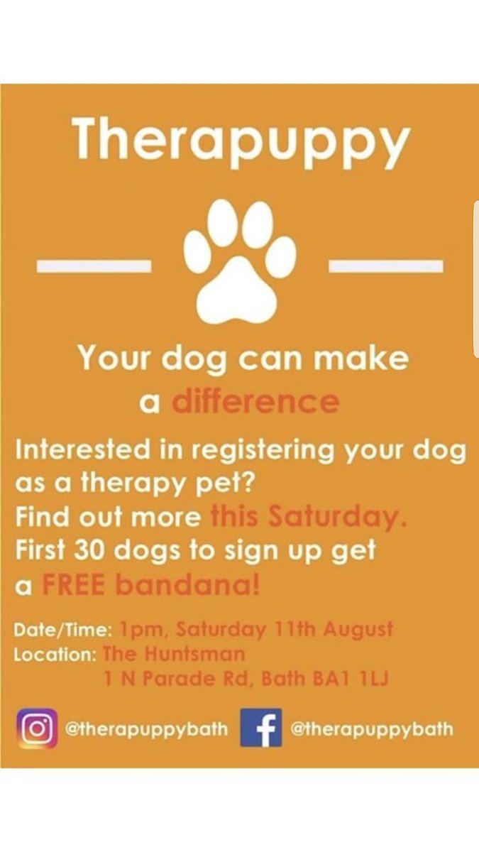rgrcgb's tweet photo. Our #NCSproject is nearly over!  Provide care and support to the one who needs it the most. #dogs #TherapyDogs #PetsAsTherapy #NCS #SayYes https://t.co/BIkzGvskEh