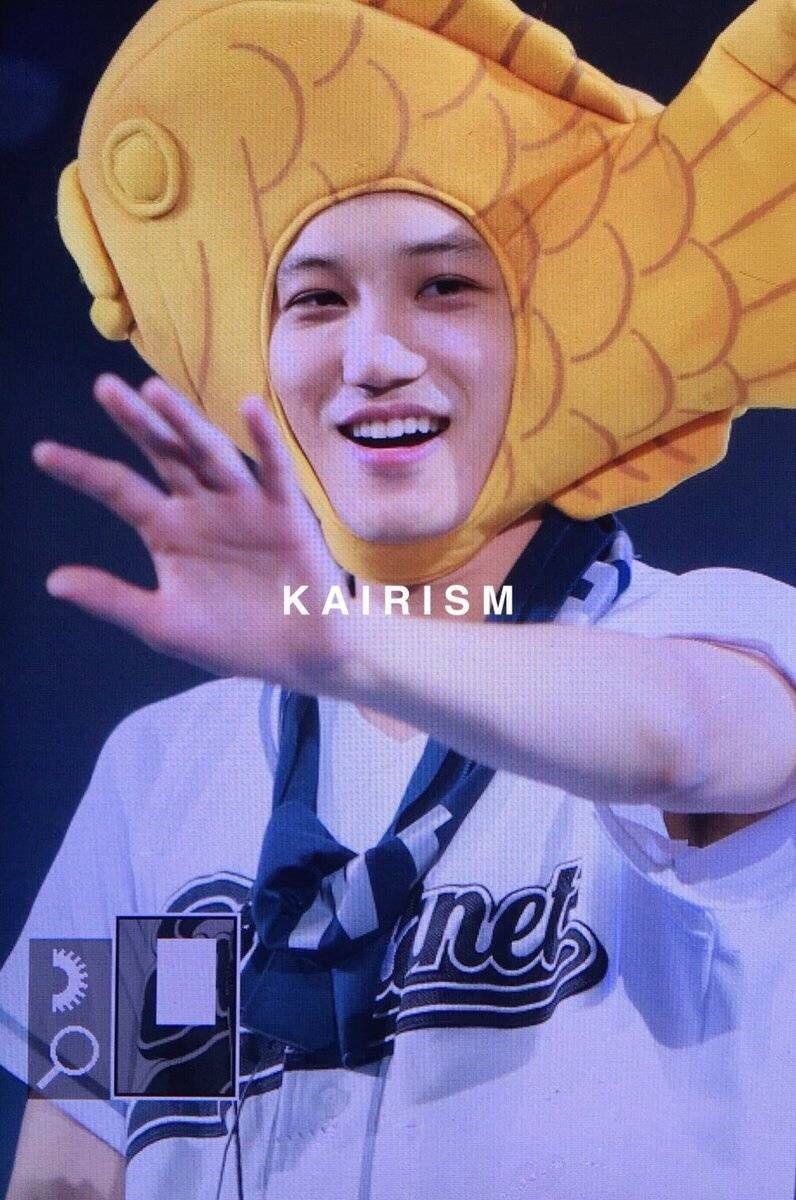 moietmoietmoii's tweet photo. หมวกปลา เเบบ #kai #exo⁠ ⁠ #yuna #snsd ราคา 350฿ พรีออเดอร์ สนใจ dm / line: popthann
#หมวกปลา #หมวกหูกระดิก #หมวกกระต่าย #girlgeneration #exo⁠ ⁠ #ตลาดนัดexo #ตลาดนัดรวมด้อม #wannaone #blackpink #ไว้ขายของห้ามรีวิวโว้ยย #LisaShopee #twice #ตลาดนัดblackpink #ตลาดนัดsnsd https://t.co/VwFhhJEnWi