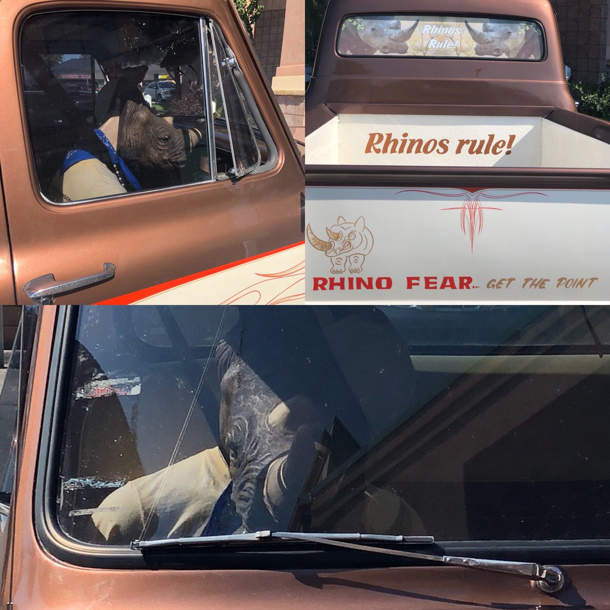 KyraMatkovichHR's tweet photo. Well, hereβs something you donβt see every day. Weird rhino head in the passenger seat of an awesome classic pickup.... This guy apparently digs rhinos. #rhinosrule #getthepoint #HRShenanigans https://t.co/6QlLOHRr6E