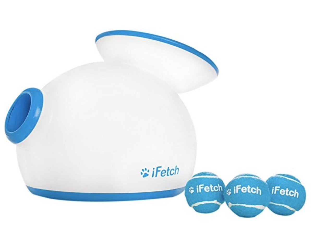 PetTechStore tweet picture
