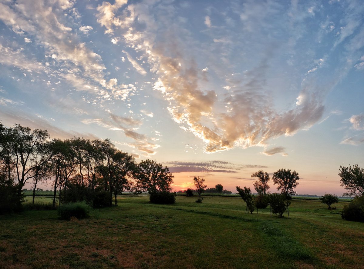 callantis's tweet image. Nice to see some green grass this morning. Princeton KS Haven't tagged you in awhile @KarliRitter but  had to share this one.
