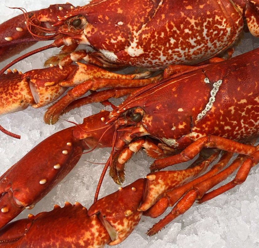 Today we have freshly cooked Lobster starting from £8!! 😋🦀🦐 Deliveries are also available 🚛📞🐟 #shoplocal #specialoffer #LakeDistrict