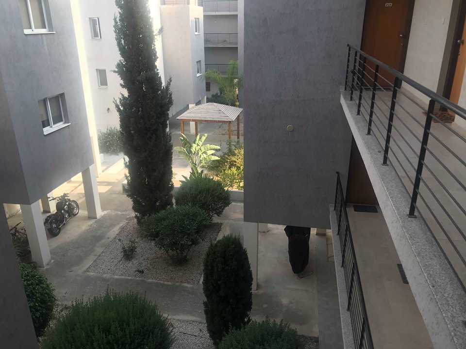 SalesorRentals's tweet photo. Second floor, spacious, 2 bedroom #apartment for sale in the upcoming #Livadia area, #Larnaca, #Cyprus. More information you can find here https://t.co/RpEH7ToHq8 https://t.co/KzNLZw1Fji