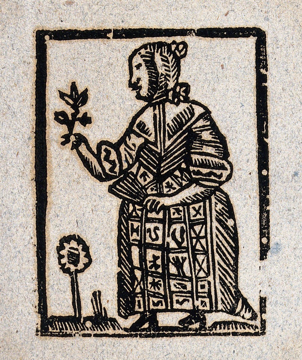 roisin_donohoe's tweet photo. A beautiful little woodcut of a Hedge Witch holding a plant and a fan, wearing a skirt embroidered with magical symbols. Fun fact: In England, scratching a witch deep enough to draw blood was thought to counteract her curse. #FolkloreThursday

(Wellcome, no. 603070i) https://t.co/DaTeeDhUXR