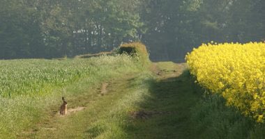 Nature Friendly Farming Network tweet media