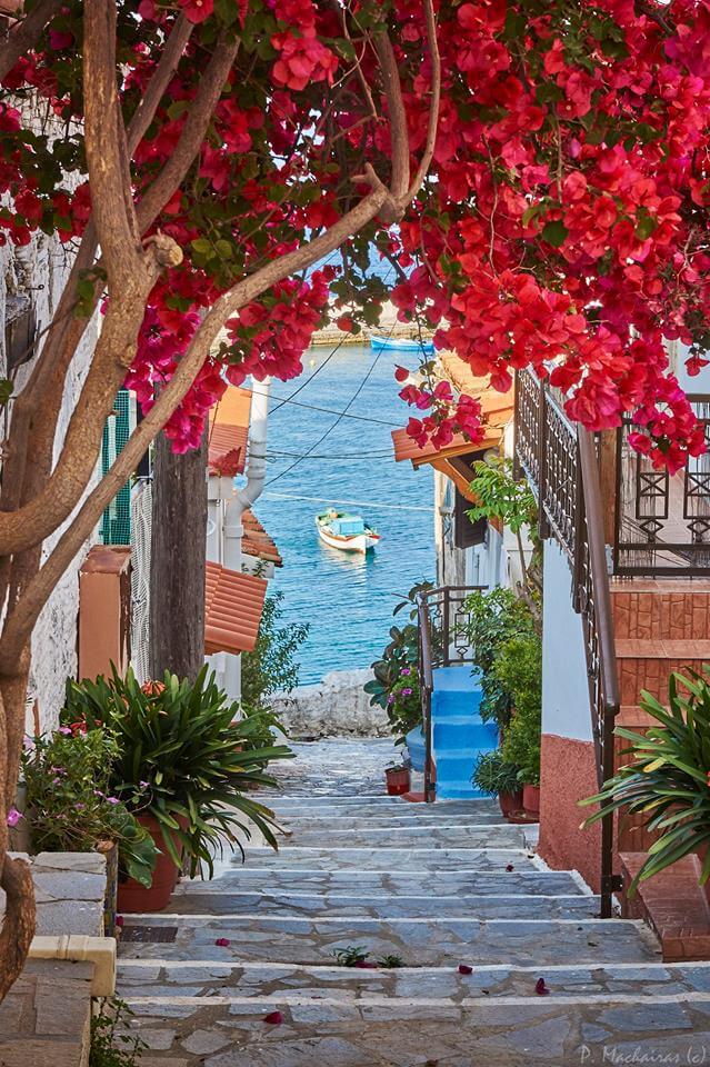 soniacolpo's tweet photo. @mrtom101 @vixentink_tracy @HDrelaxation4U @Keith1Chill @zepiron @Ghiovanela @GucciGuccin @BrendaFlournoy1 @NajdeckiArtur @arasaucedo24 @Joee_Blackkk @se_ablue @SurfersRoom @henrirouen @DonnaFins @klem7165 @AnnaCAAlves17 ๐๐บ๐๐บ๐๐บ๐๐บ๐๐บ๐๐บ๐๐บ
#ThursdayMotivation #HappyDayToAllGreatFriends #haveaniceday
#ThankYouAlways #Tracey #Tommy #SharingPICS
#Following #Retwitting #GoodVibesOnly #EnjoySummer
#PlaceToGo ๐ฌ๐ทโต๏ธ #Sailing #LovelyBeach ๐๏ธ #Samos #Islang ๐ฌ๐ท #greece https://t.co/NPoEmfS7qK