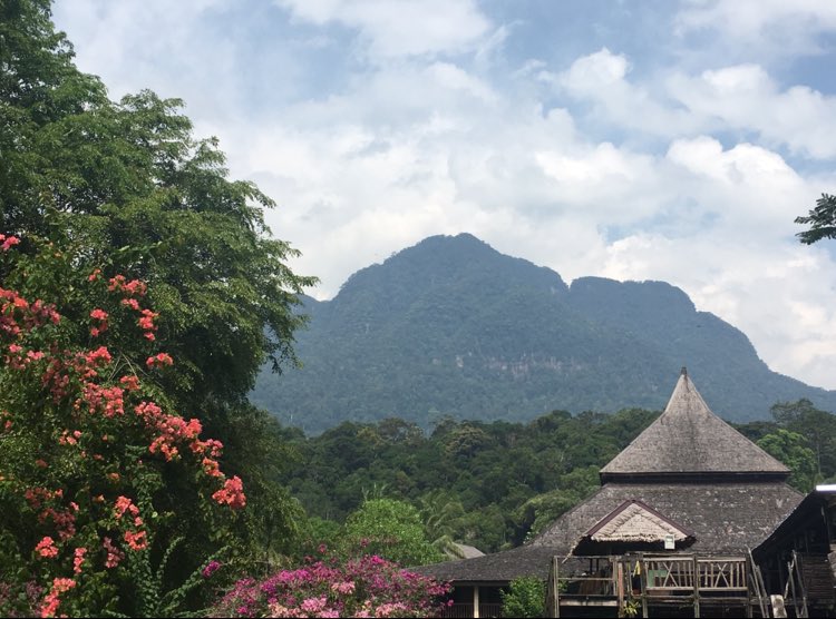 ProfAMGregory's tweet photo. Thank you to @CeciliaEssau for organising the most superb conference #ICCAP2018 and for the opportunity to visit such a beautiful country https://t.co/LtBplLoCec