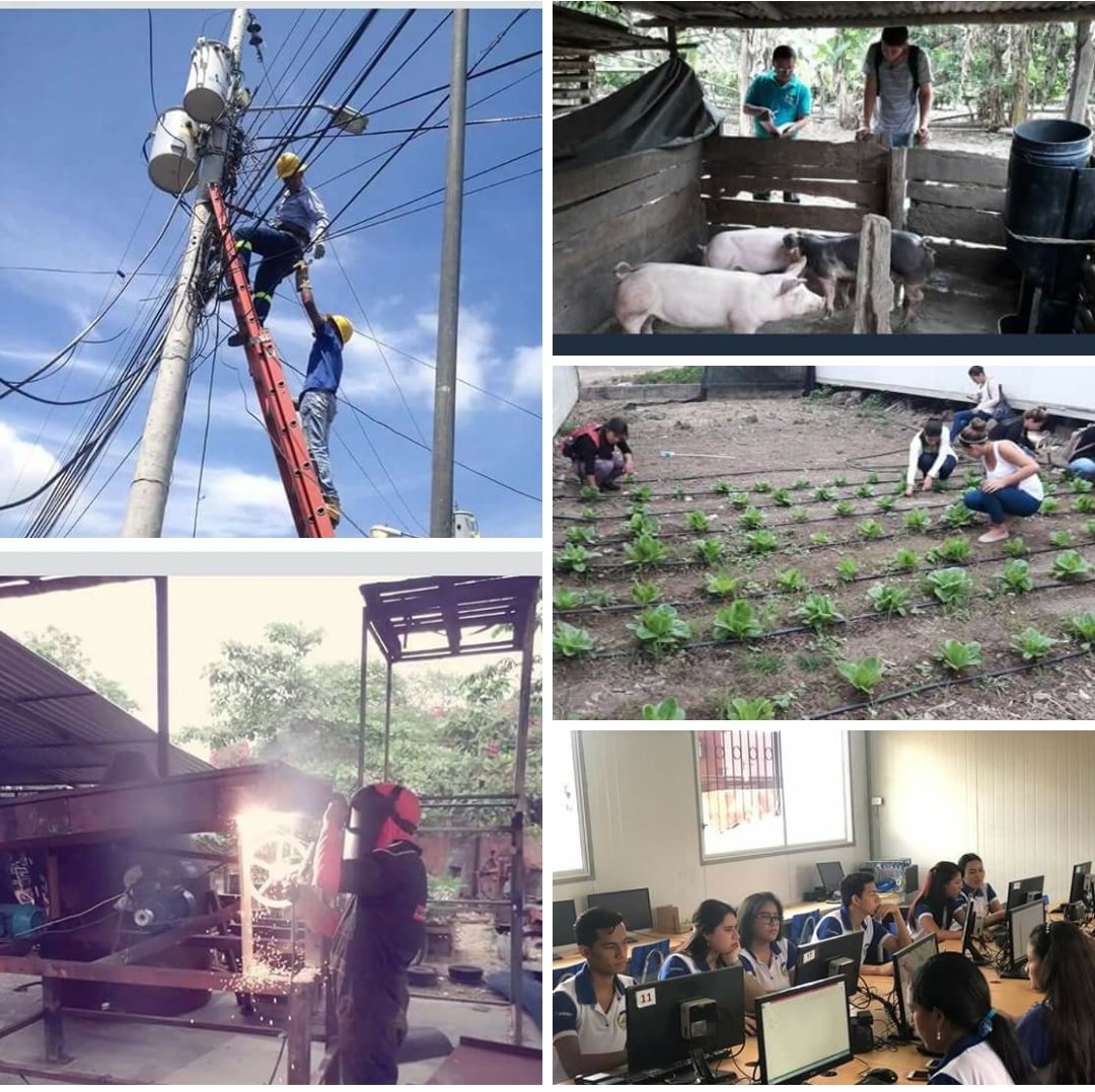 nancymolina104's tweet photo. #YoPostuloAlITSPEM
Carreras cortas y de fácil inserción laboral.
Las Carreras que te ofrecemos son:
Electronecánica, Agropecuaria, Tributación y Construcción. @EduSuperiorEc @ITSPEM1 @blanceli https://t.co/VS7Y2XJ2t7