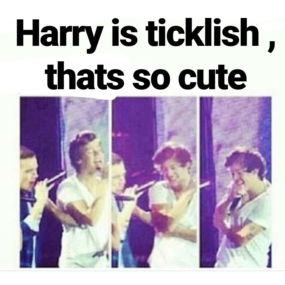 harrystyles3665's tweet photo. I want to tickle you right now @Harry_Styles 💖💖💖💖 love you @Harry_Styles #HarryStyles #harries #HarryStylesLiveOnTour #harrytheitaliano #Directioners #OneDirection #cupcake #love #spreadlove #treatpeoplewithkindness #EndGunViolence #8YearsfOneDirection #MissYouOneDirection https://t.co/sRqPAMwrfI