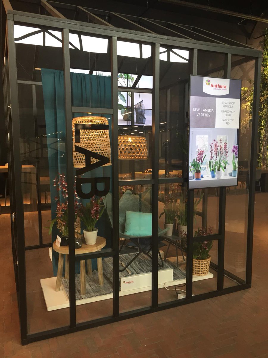 Sinds deze week staan de Cambria's in het GTC lab van <a href="/byWaterdrinker/">WaterdrinkerAalsmeer</a> gepresenteerd. Deze speciale #orchidee past door haar kleuren en vorm helemaal in het hedendaagse interieur. De #Cambria is vanaf nu leverbaar! #GTClab