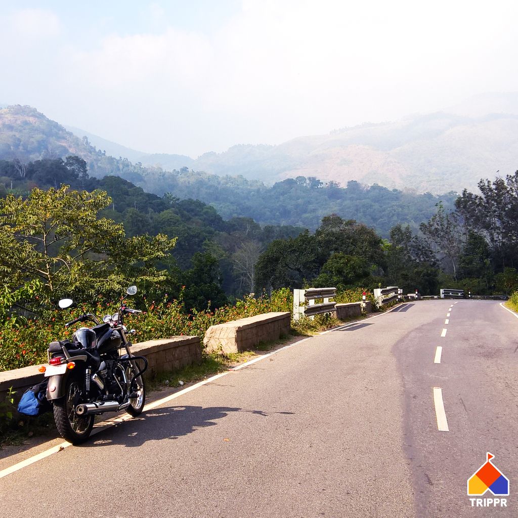 tripprworld's tweet image. Grab your helmets and drive down to the Princess of Hill Stations, Kodaikanal to enjoy the wonderful views like this in the gift of the forest. 
Book now at tripprworld.com

#trippr #travel #forest #mist #kodaikanal #trek #clouds #hills #backpacking #hostels #relax #chill