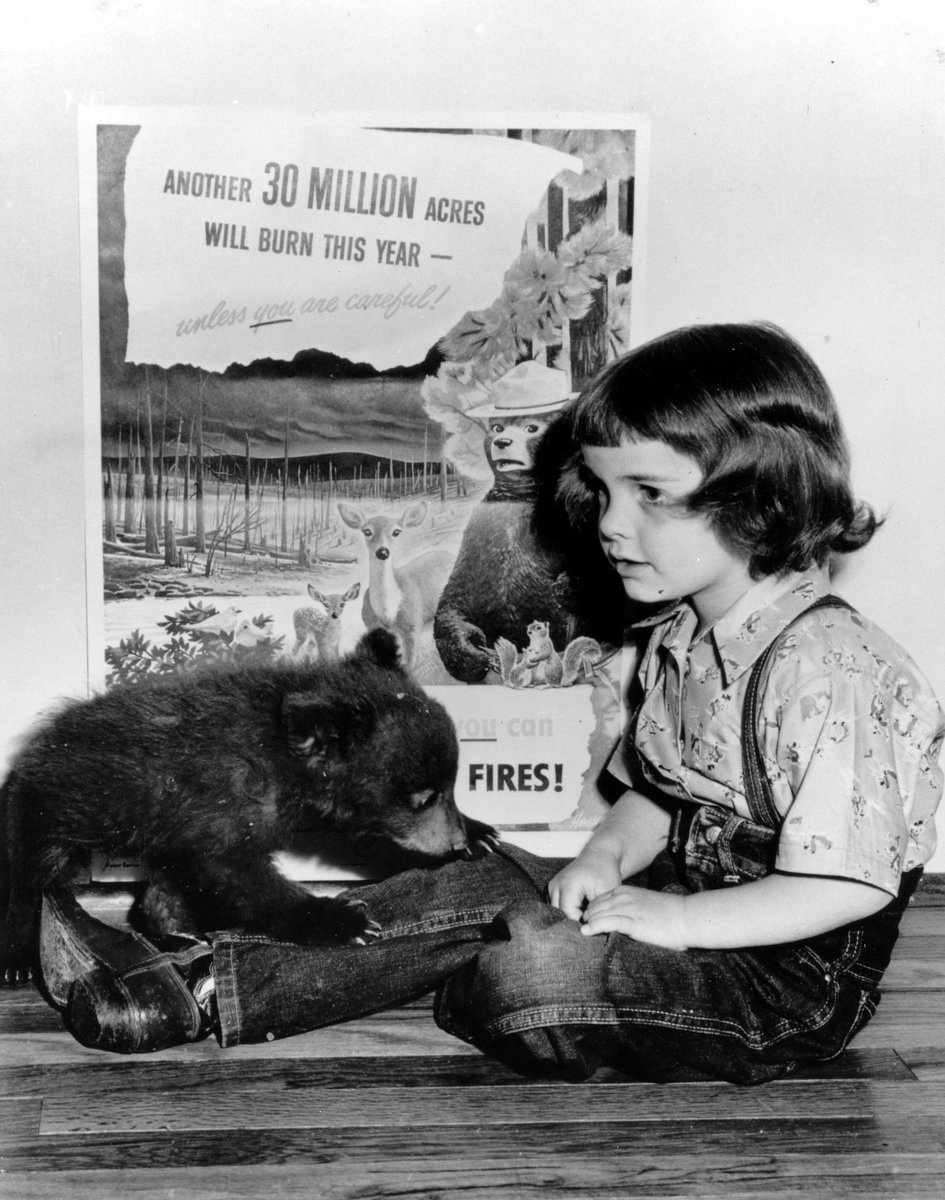 ForestServiceNW's tweet photo. Happy 74th #birthday Smokey Bear! And I think we all know exactly what he’d want for his birthday: for all of us to be responsible with our #campfires! Remember: “Only you can prevent #wildfires.” https://t.co/eLSAmXxax5