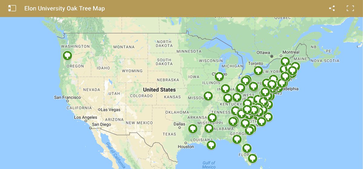 elonalumni's tweet photo. Have you ever wondered where all those saplings given at #ElonGrad are growing? Check out this map and share the location of your own #Elonsapling (plus a photo, if you have one: https://t.co/bNlRFbQfTR https://t.co/1UhqH0Cey1