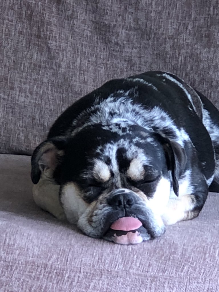 Visit today went well - sleep now