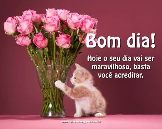 gatinha linda (@Bruninh07501165) / Twitter gatinha linda (@Bruninh07501165) / Twitter